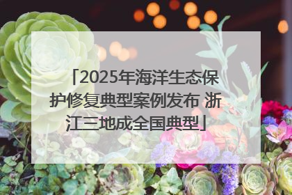 2025年海洋生态保护修复典型案例发布 浙江三地成全国典型