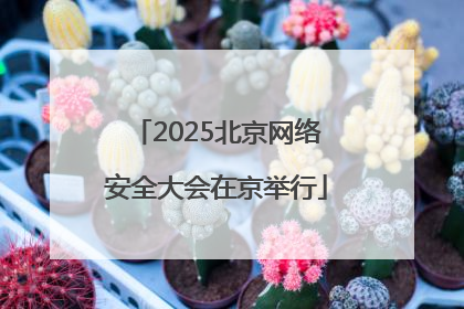 2025北京网络安全大会在京举行