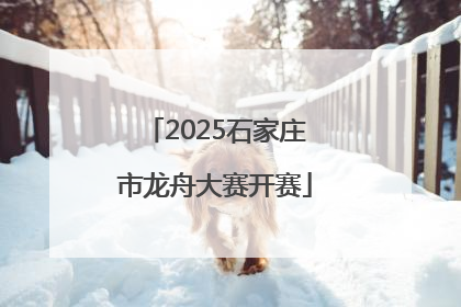 2025石家庄市龙舟大赛开赛