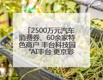 2500万元汽车消费券、60余家特色商户 丰台科技园“AI丰台 更京彩”未来玩家市集活动正式开幕