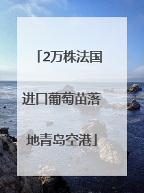 2万株法国进口葡萄苗落地青岛空港