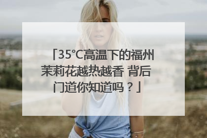 35℃高温下的福州茉莉花越热越香 背后门道你知道吗？