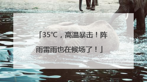 35℃，高温暴击！阵雨雷雨也在候场了！