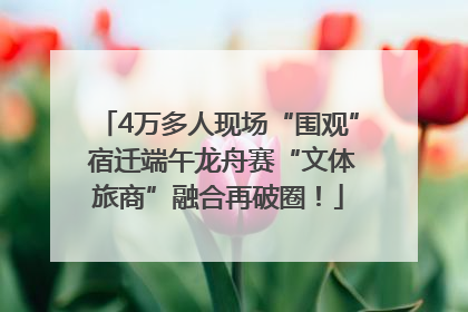 4万多人现场“围观” 宿迁端午龙舟赛“文体旅商”融合再破圈！