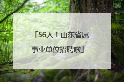 56人！山东省属事业单位招聘啦