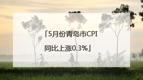 5月份青岛市CPI同比上涨0.3%
