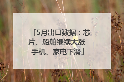 5月出口数据：芯片、船舶继续大涨 手机、家电下滑