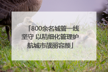 800余名城管一线坚守 以精细化管理护航城市靓丽容颜