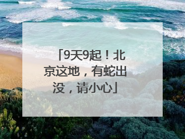 9天9起！北京这地，有蛇出没，请小心