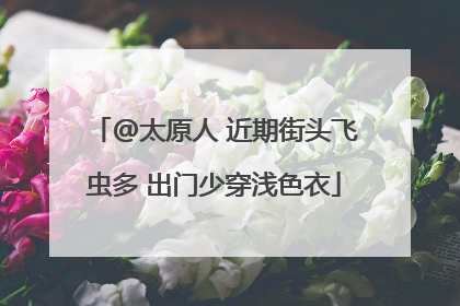 @太原人 近期街头飞虫多 出门少穿浅色衣