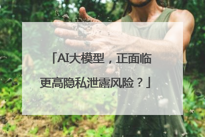 AI大模型，正面临更高隐私泄露风险？