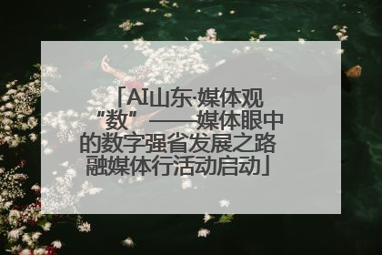 AI山东·媒体观“数”——媒体眼中的数字强省发展之路融媒体行活动启动